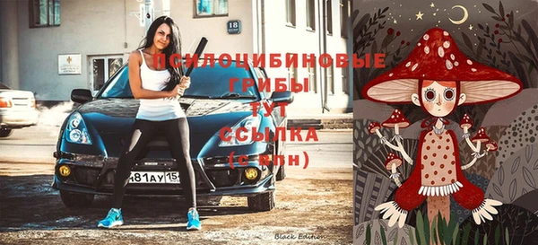 тгк Аркадак
